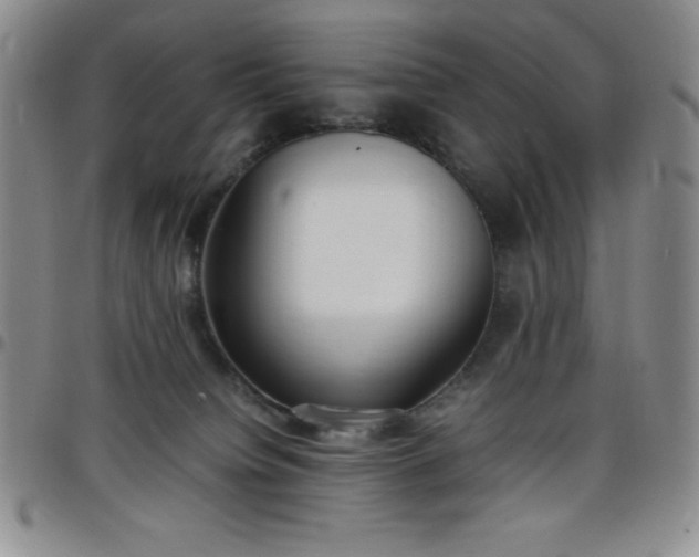 X0000099230084200805011146