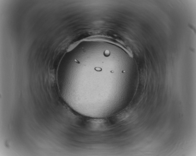 X0000099230085200805011146