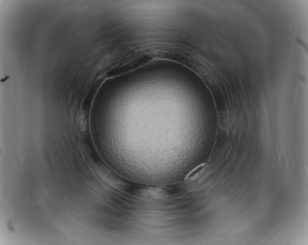 X0000099230086200805011146