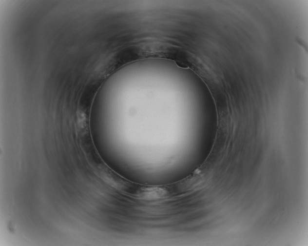 X0000099230087200805011146