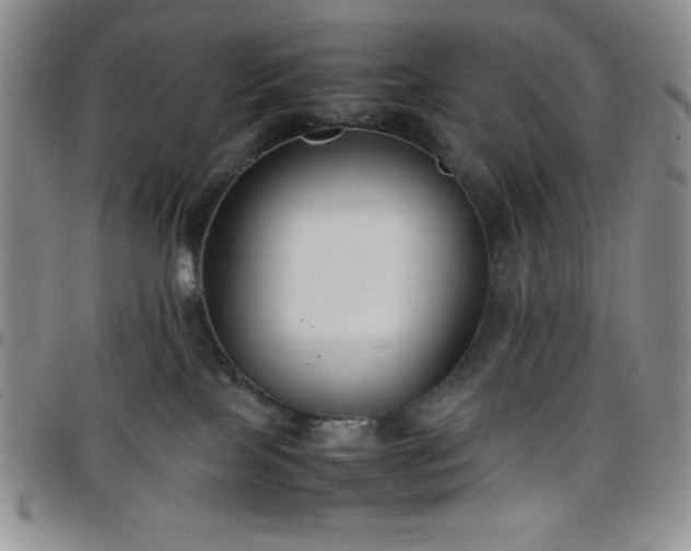 X0000099230089200805011146