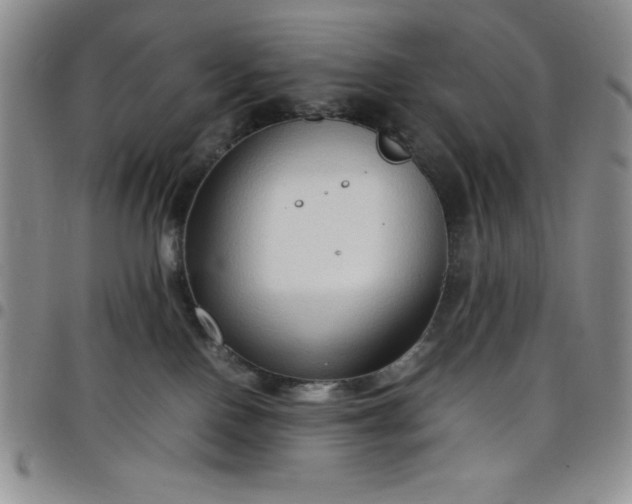 X0000099230090200805011146