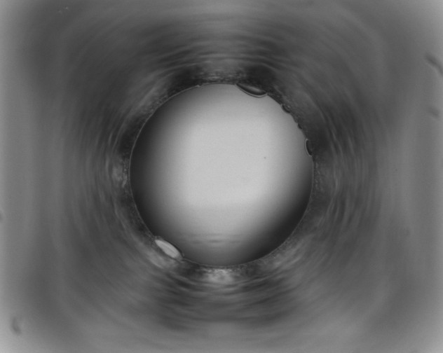 X0000099230091200805011146