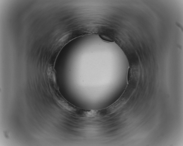 X0000099230092200805011146