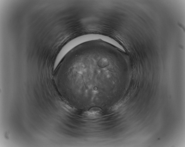 X0000099230093200805011146