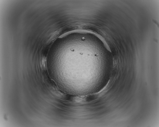 X0000099230094200805011146