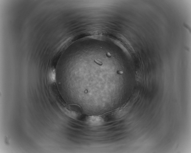 X0000099230095200805011146