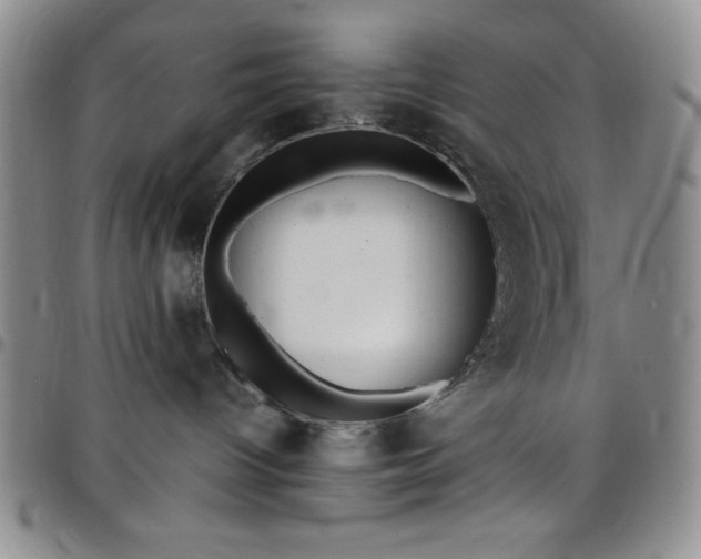 X0000099230096200805011146