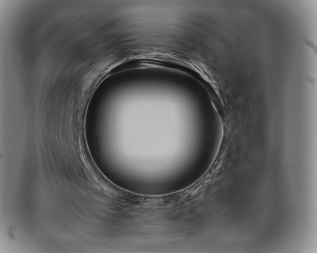 X0000099230097200805011145