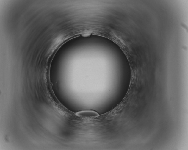 X0000099230098200805011145