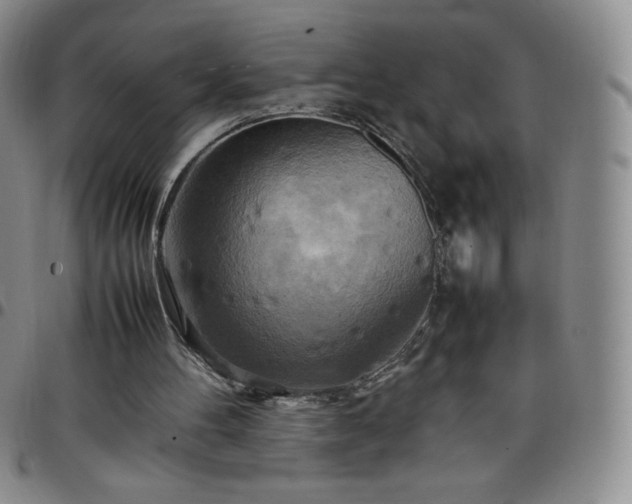 X0000099230100200805011145