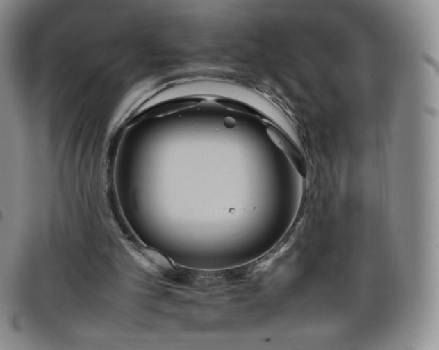 X0000099230101200805011145