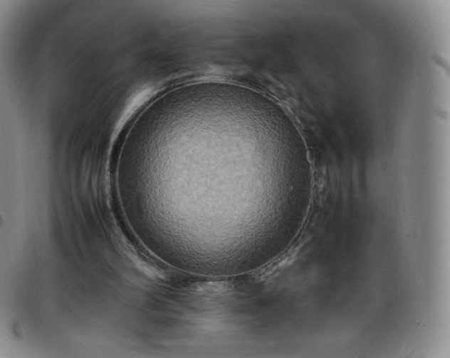 X0000099230102200805011145