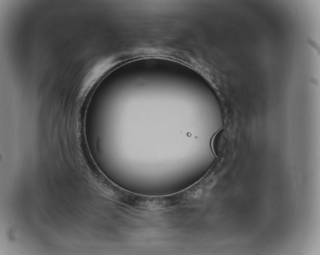 X0000099230103200805011145