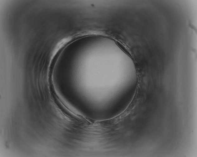 X0000099230104200805011145