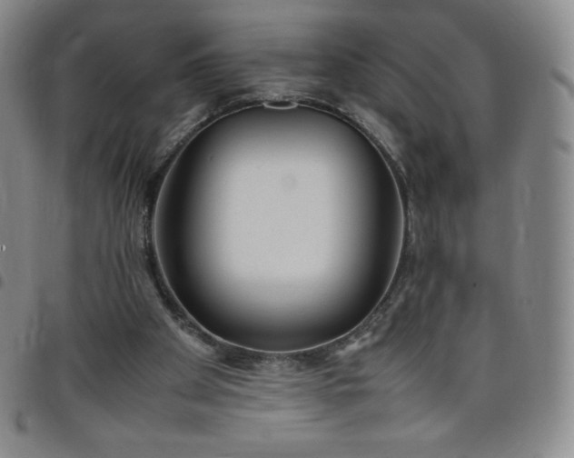 X0000099230105200805011145