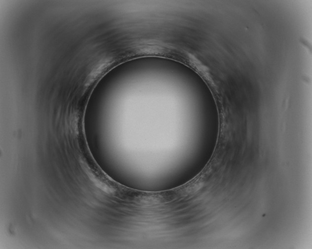 X0000099230106200805011145