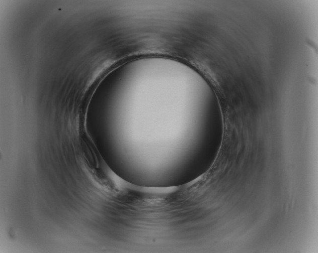 X0000099230108200805011145