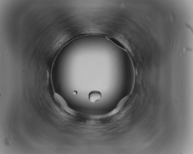 X0000099230109200805011145