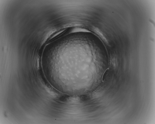 X0000099230110200805011145