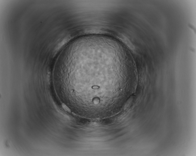 X0000099230111200805011145