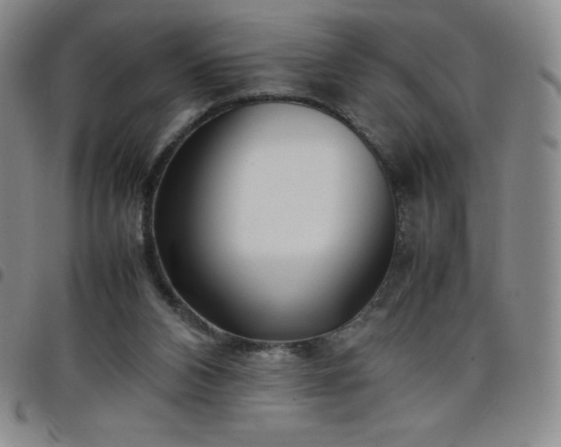 X0000099230112200805011145