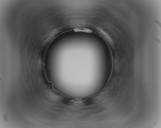 X0000099230113200805011145