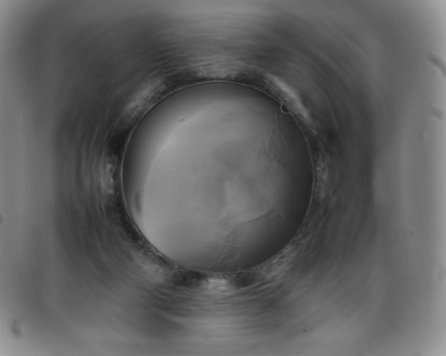 X0000099230114200805011145