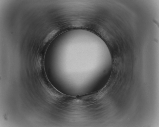 X0000099230116200805011145