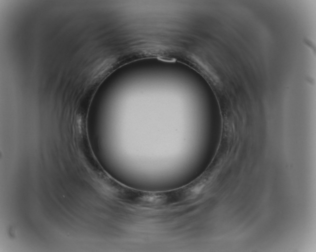 X0000099230117200805011145