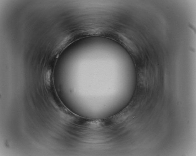 X0000099230118200805011145