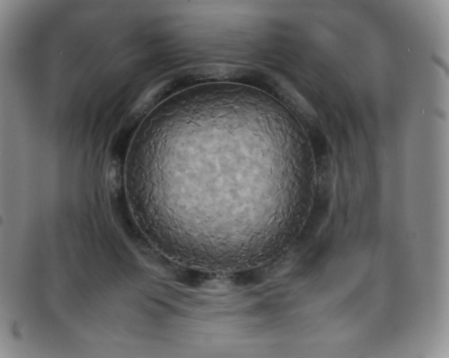 X0000099230119200805011145