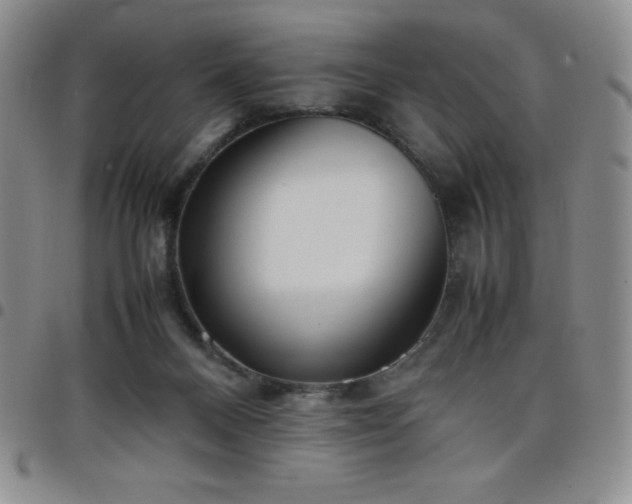 X0000099230120200805011145