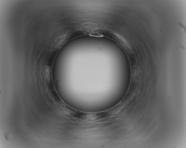 X0000099230121200805011145