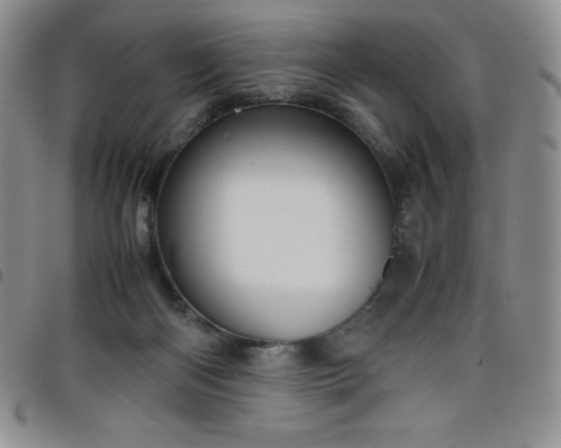 X0000099230122200805011145