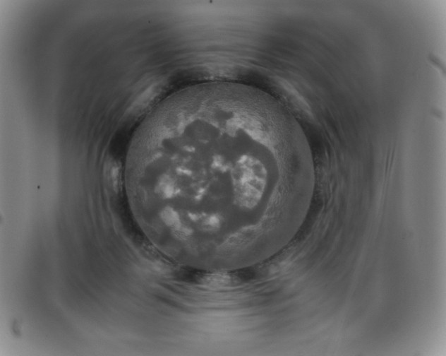 X0000099230123200805011145