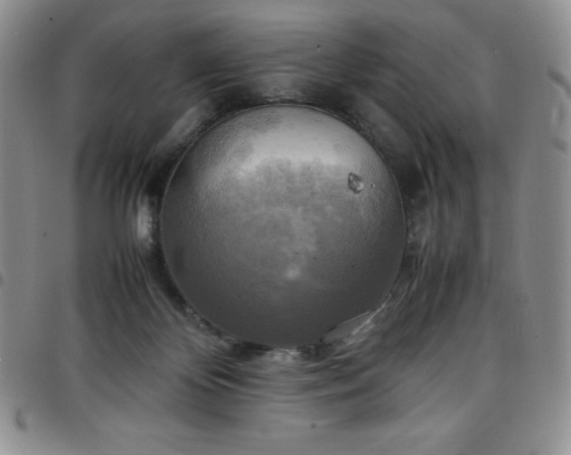 X0000099230124200805011145