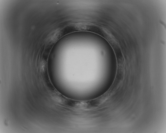 X0000099230125200805011145