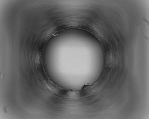 X0000099230126200805011145