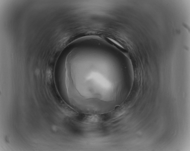 X0000099230127200805011145