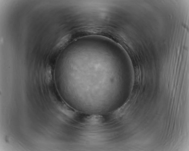 X0000099230128200805011145