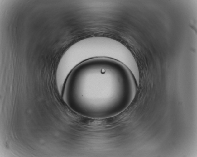 X0000099230129200805011145