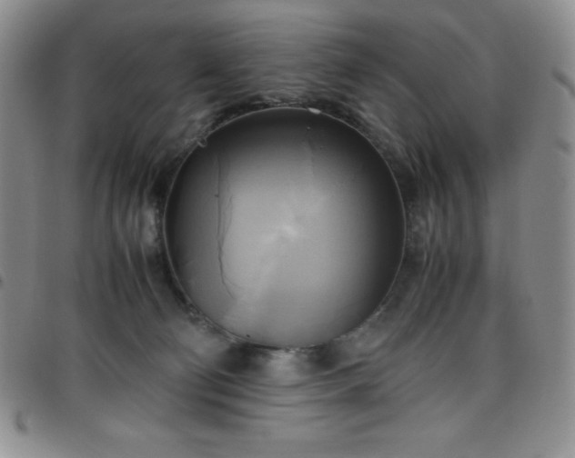 X0000099230130200805011145