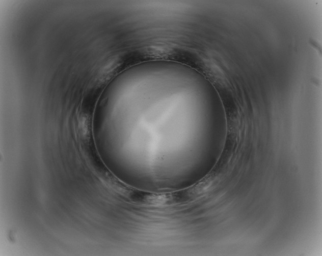 X0000099230131200805011145