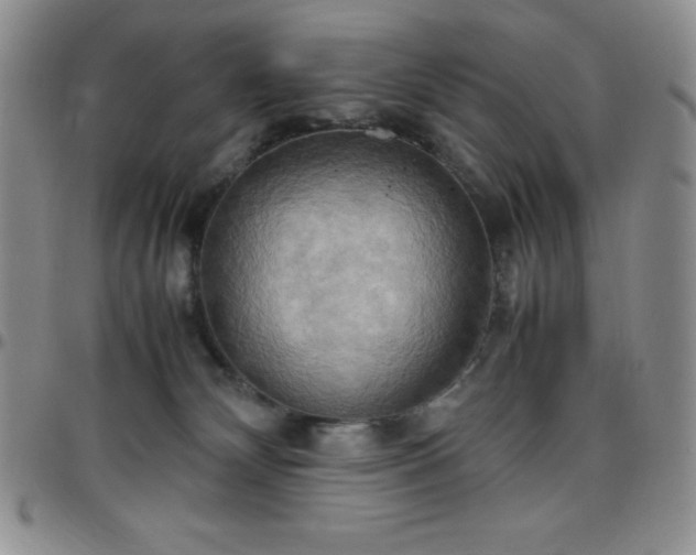 X0000099230132200805011145