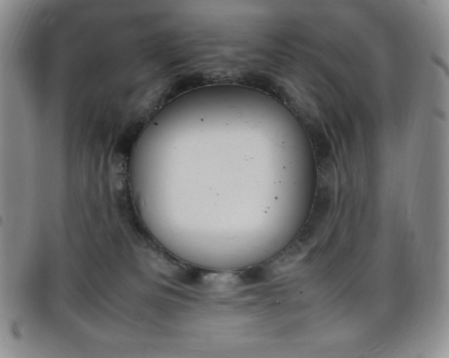 X0000099230133200805011145