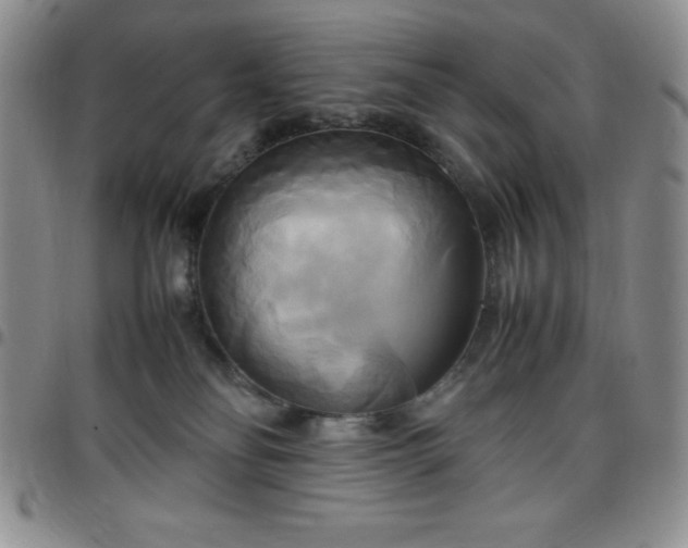 X0000099230134200805011145