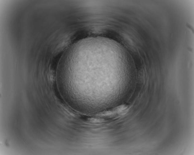 X0000099230135200805011145