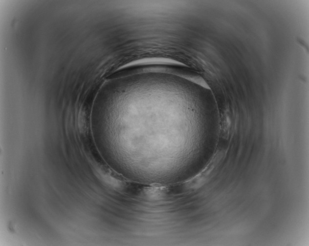 X0000099230136200805011145