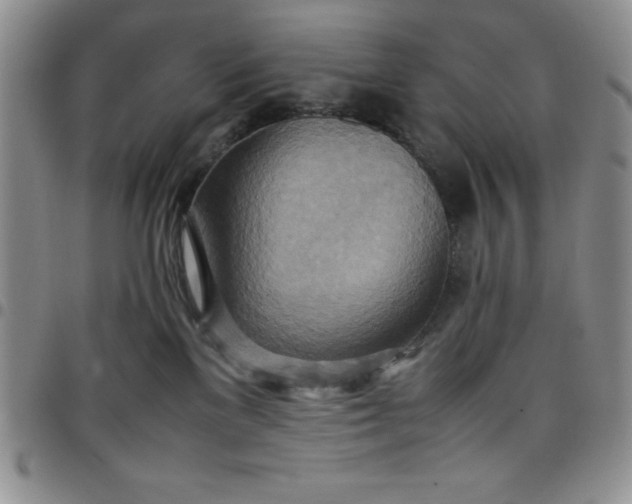 X0000099230137200805011145